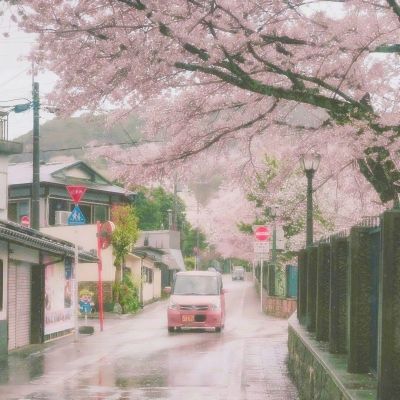油价凌晨再跳水！美国妥协提出停火方案，油市进入关键时间窗口